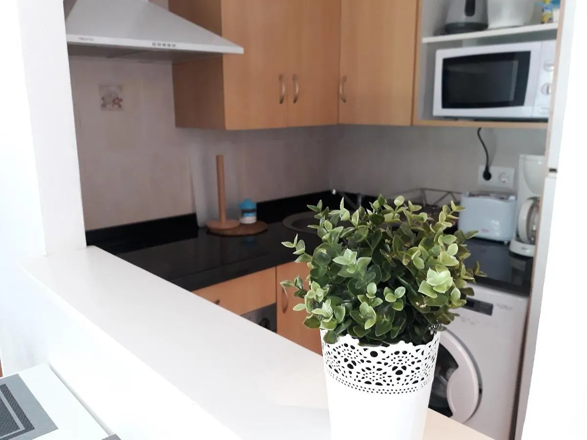 Royal Apartament-200M From Beach- Wifi Tossa de Mar Appartement